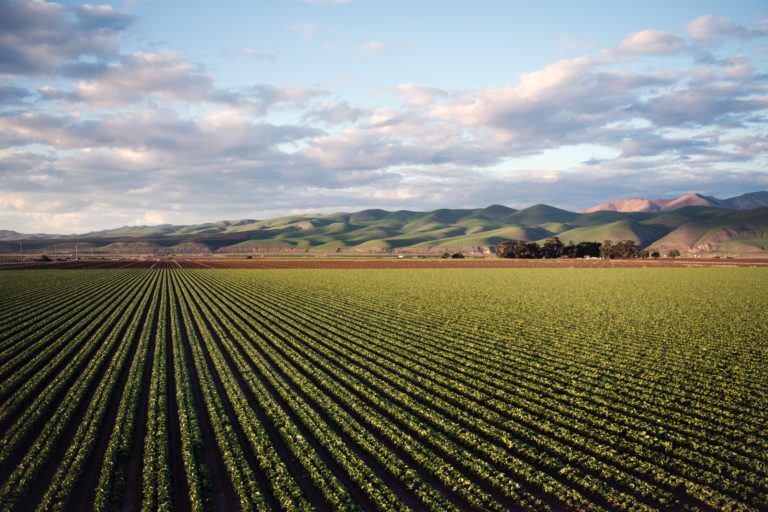 Una descripción general de la agricultura del sur de Colorado