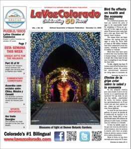 LV12-11-2024 Capture