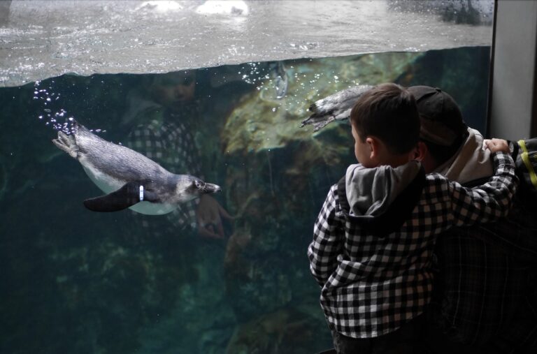 Zoológico de Pueblo necesita un respaldo financiero