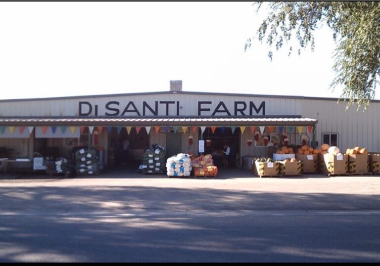 Siempre hay mucha actividad en las Granjas DiSanti de Pueblo