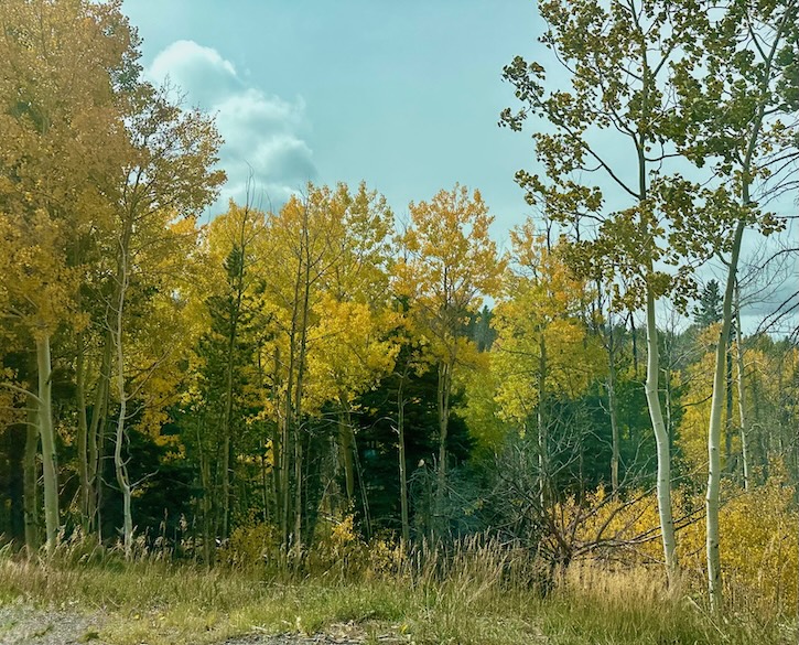 Otoño en Colorado: experimentando la naturaleza en todo su esplendor
