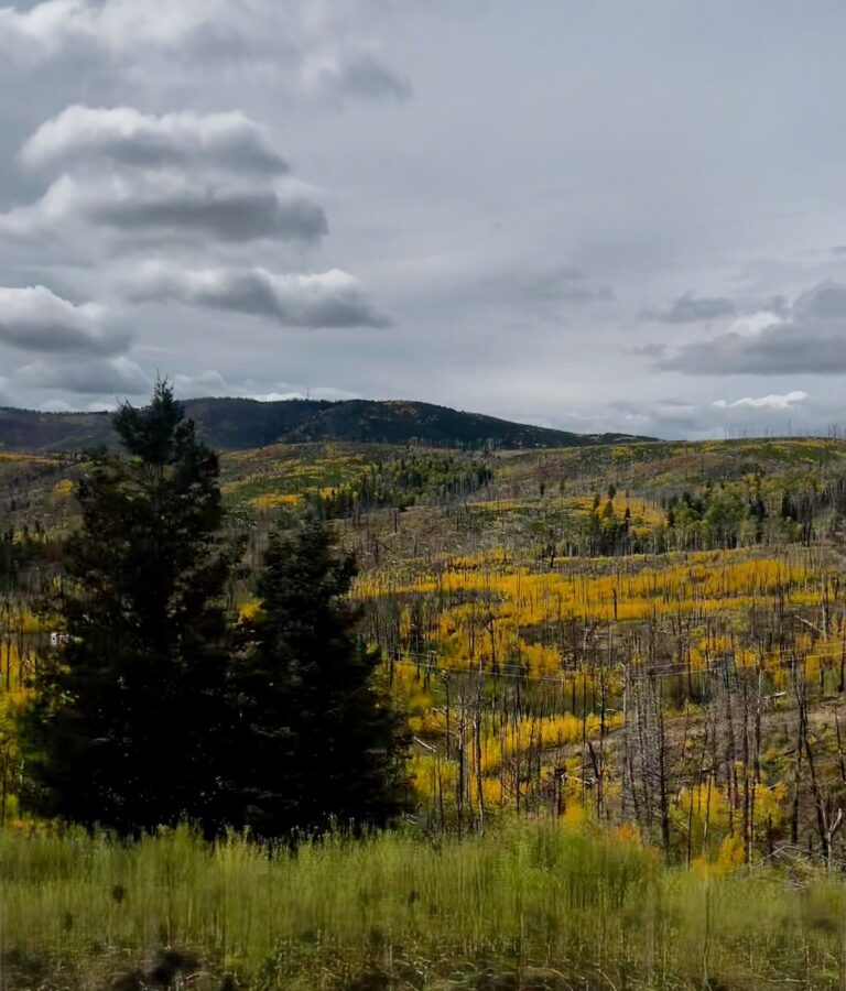 Latina Equal Payday no avanza