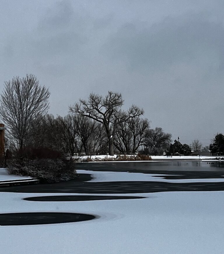 SRDA de Pueblo realiza entregas sin importar el clima